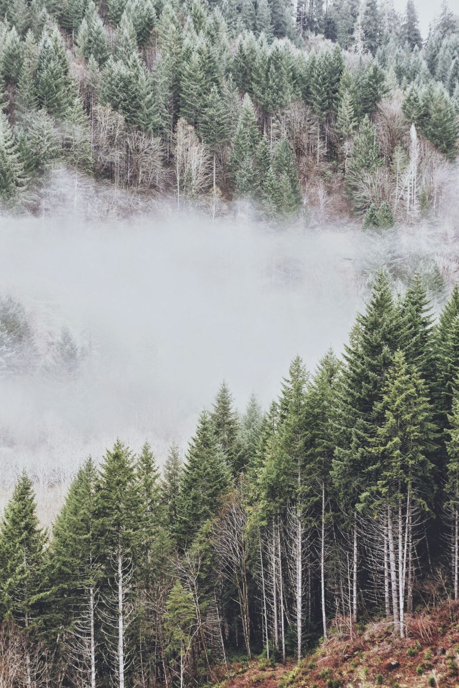 eric muhr IAXeD0z4bKM unsplash