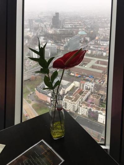 fiore finestra